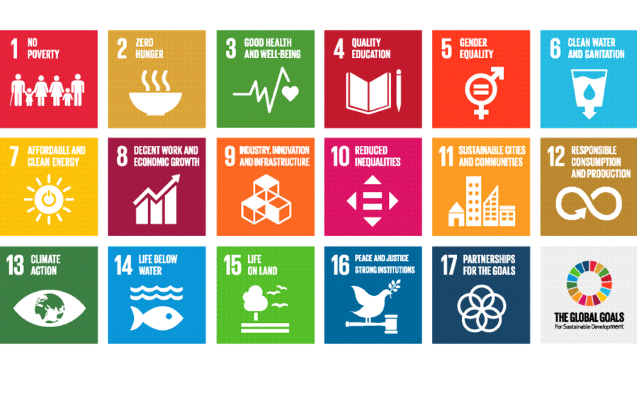 SDG Performance