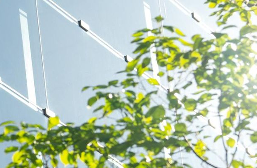 Environmental Sustainability